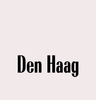 The text "The Hague" is written in black letters on a light background.