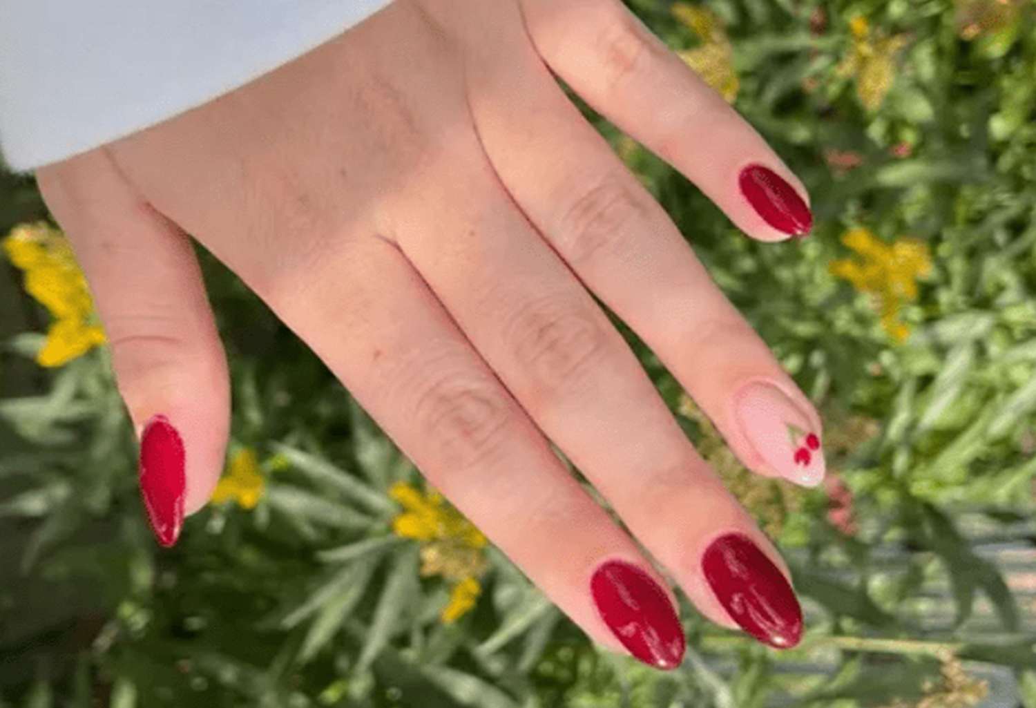 A hand with red painted nails and an accent nail with a cherry design, against a background of green and yellow plants.