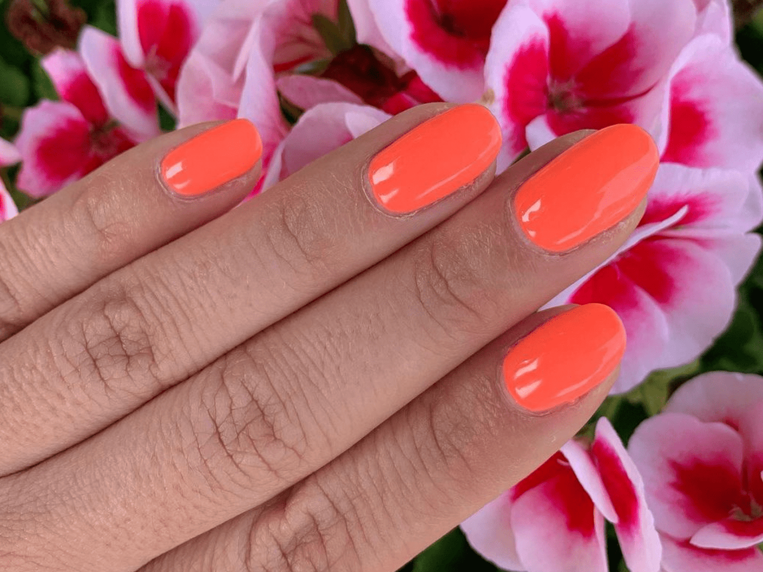 Orange painted nails against a background of pink flowers.