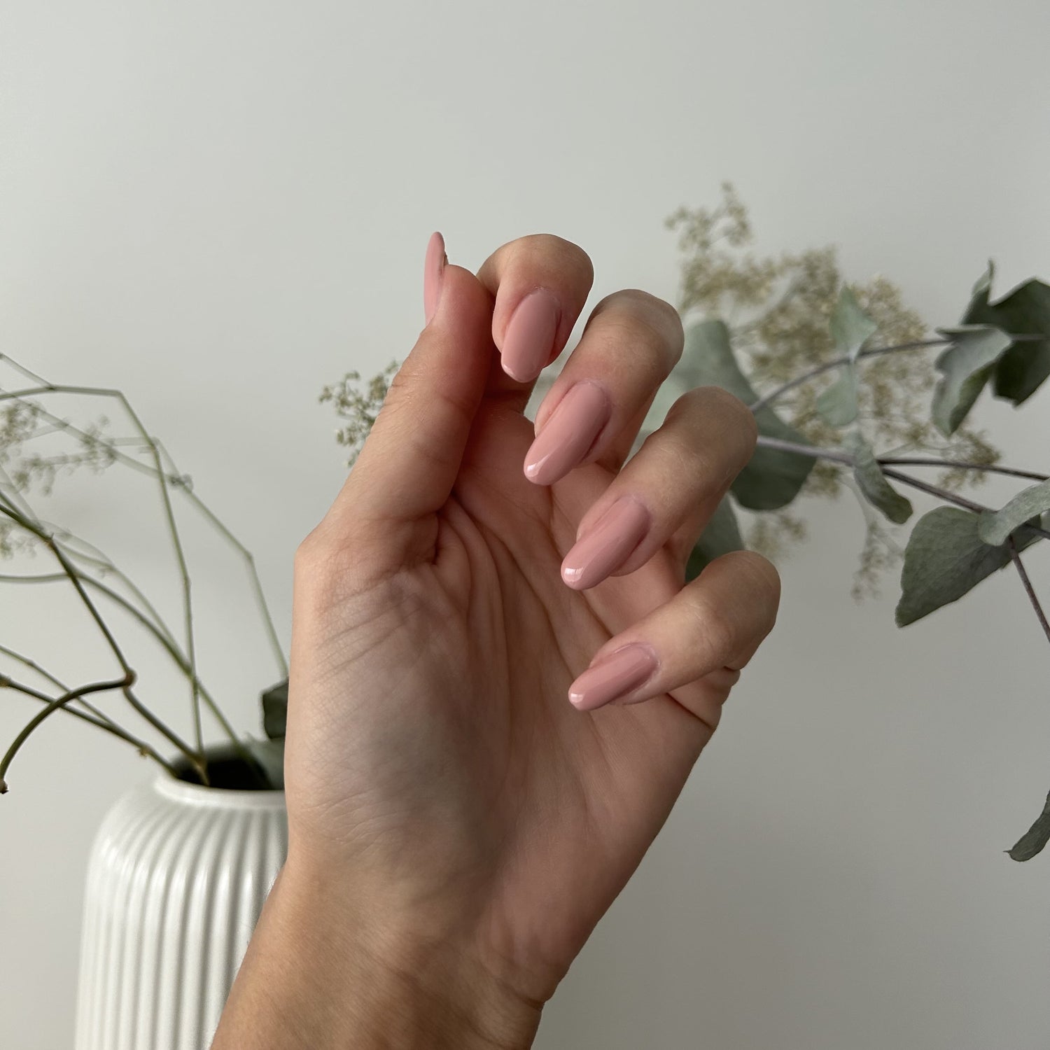 Hand holding long, pink-painted nails against a neutral background with vase and green-leafed branches.
