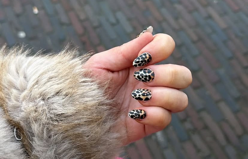208 Lavish Leopard