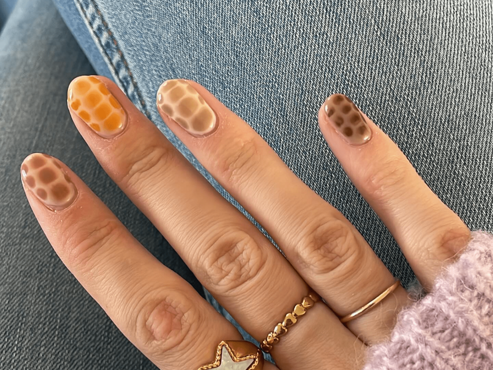 Caramel Crocodile