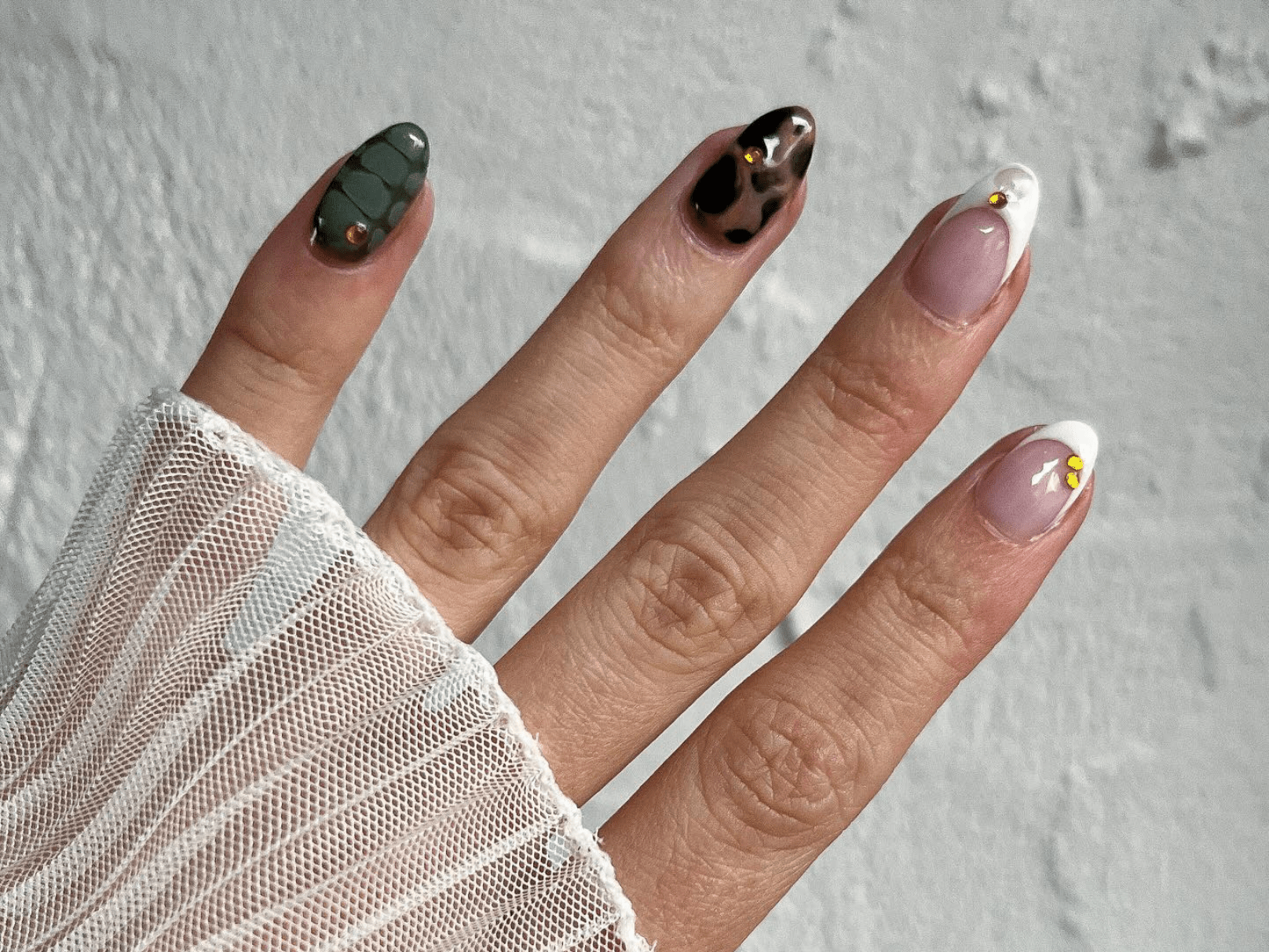 Animal Chic Frenchies