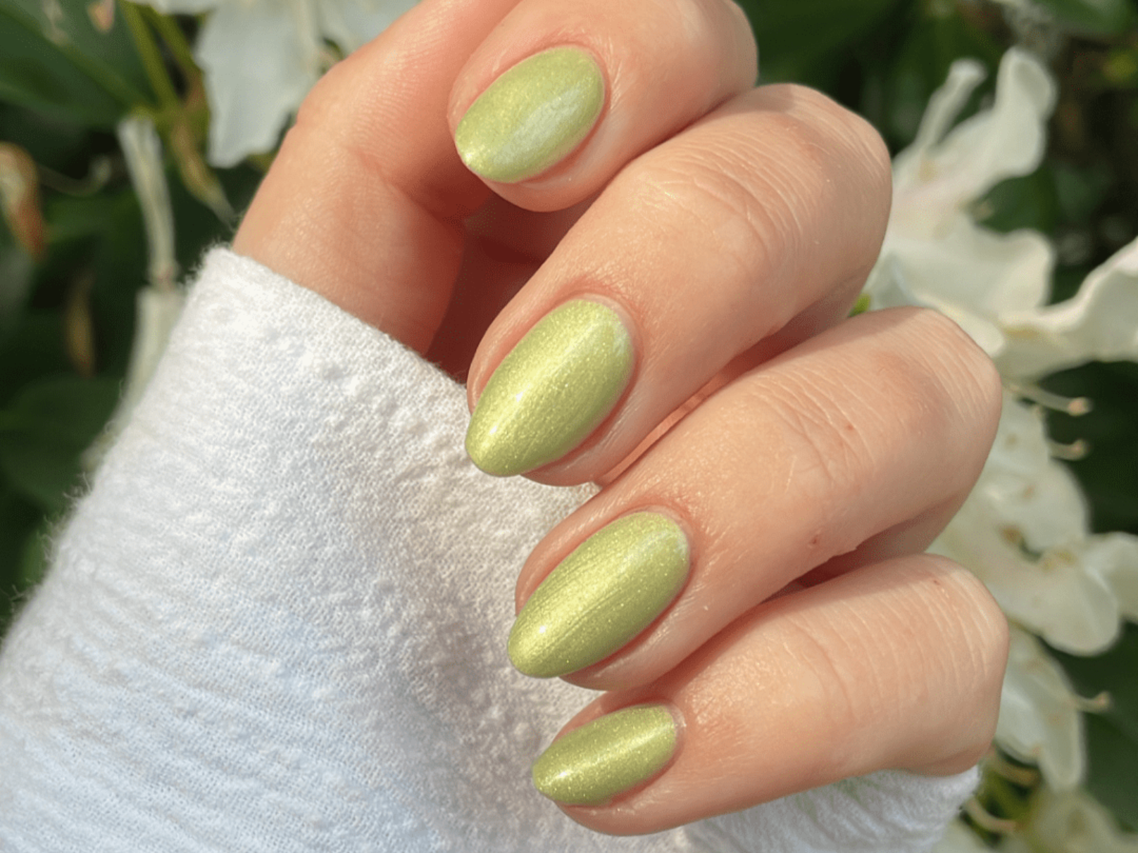406 Exotic Lime