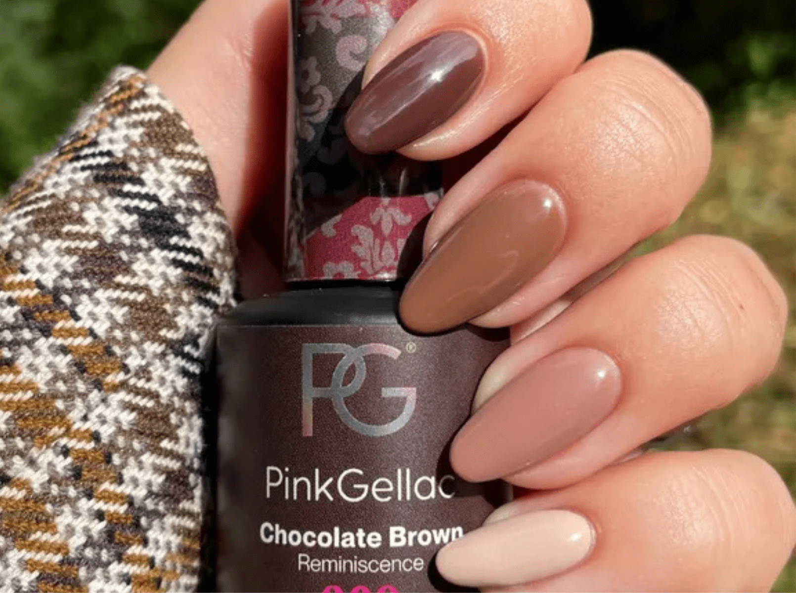 Brown Gradiant