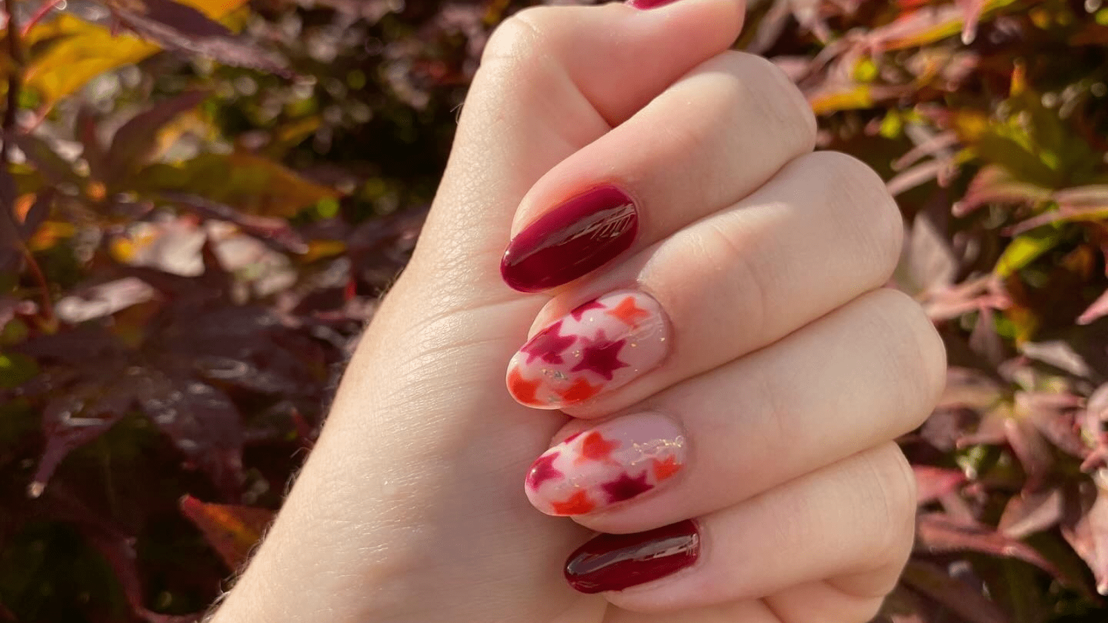 Autumn Leaves