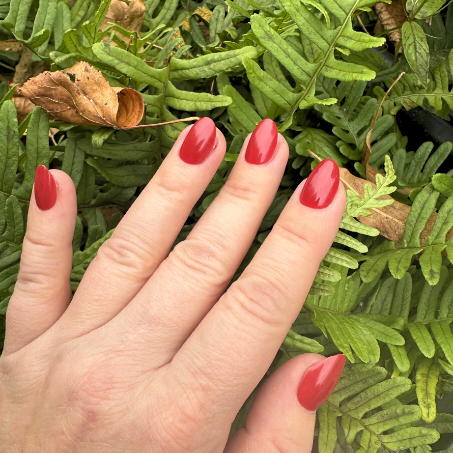 Press to Express in Red