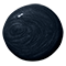 Dark, shiny circle with spiral-like pattern.