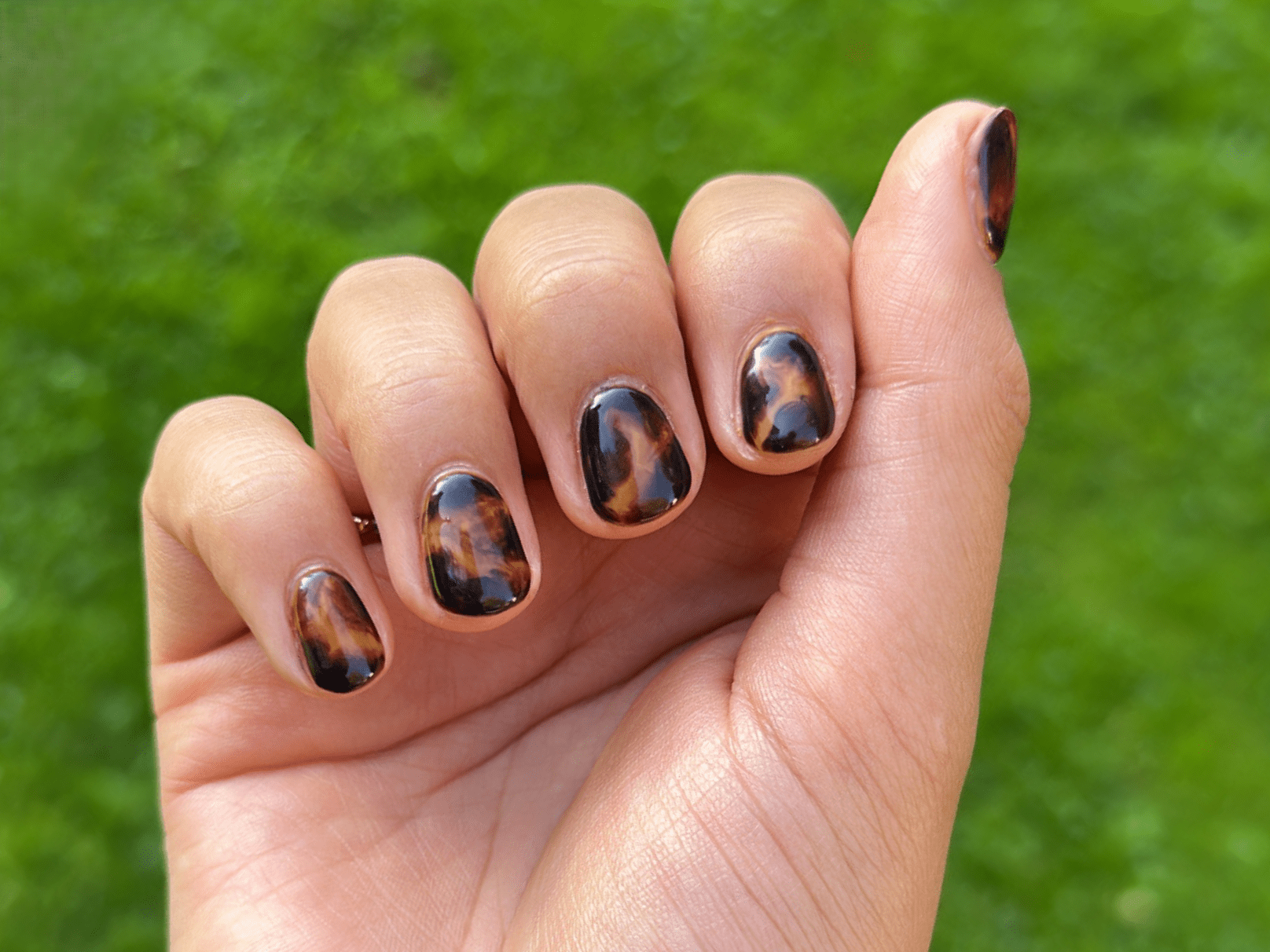 Nail Art Set: Tortoise Nails
