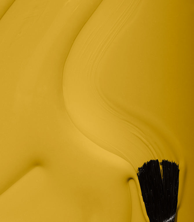 314_lion_yellow_texture_image